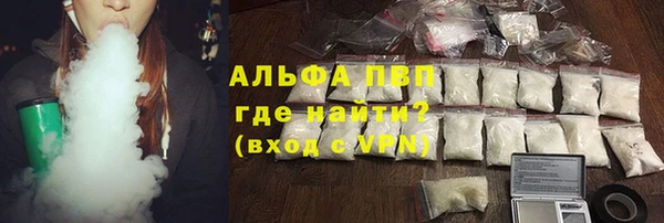 амф Новозыбков