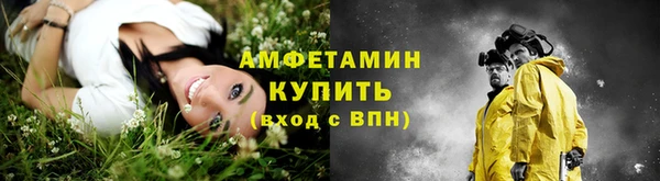 амф Новозыбков