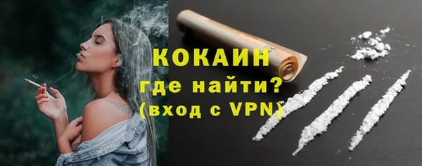 амф Новозыбков