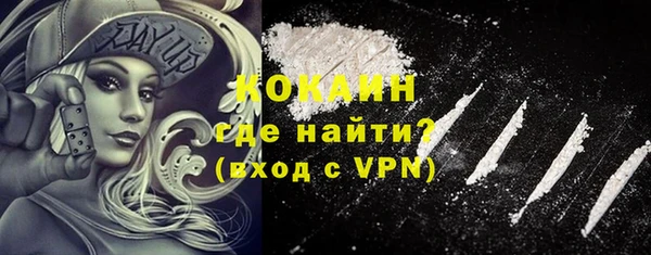 амф Новозыбков