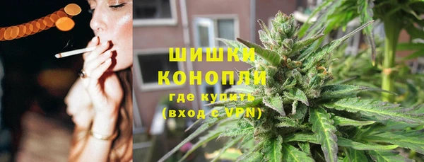 амф Новозыбков
