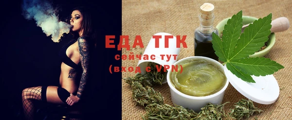 амф Новозыбков